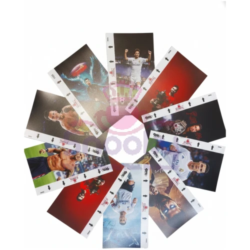 Snooky Sports Transparent Matte Mobile Skin